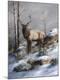 Premium Giclee Print