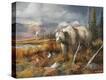 Stretched Canvas Print