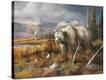 Stretched Canvas Print