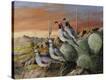 Stretched Canvas Print