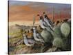 Stretched Canvas Print