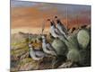 Giclee Print