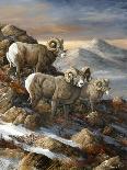 High Country Trio-Trevor V. Swanson-Giclee Print