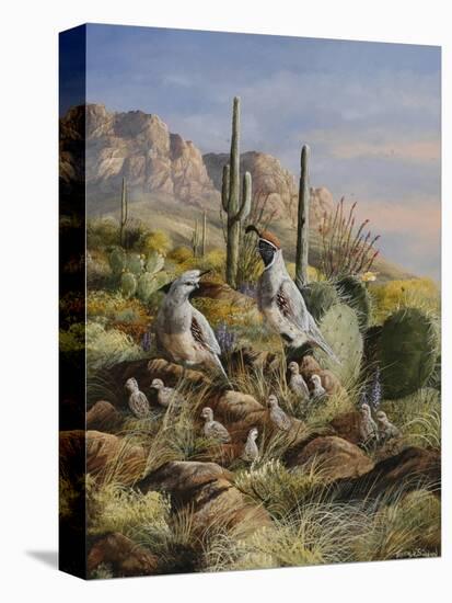 Stretched Canvas Print, , large