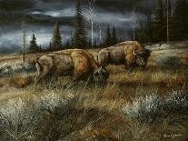 In a Patch of Light-Trevor V. Swanson-Giclee Print