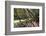 Trewithen Gardens, Near Truro, Cornwall, England-Paul Harris-Framed Photographic Print