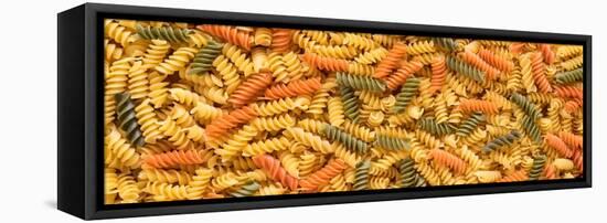 Tri Color Rotini-Steve Gadomski-Framed Premier Image Canvas