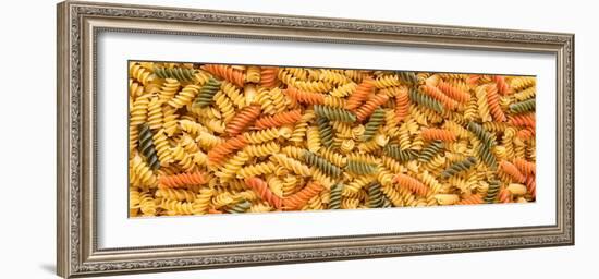 Tri Color Rotini-Steve Gadomski-Framed Photographic Print