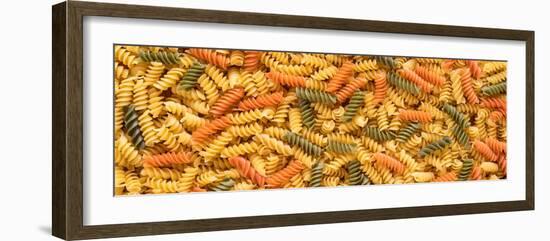 Tri Color Rotini-Steve Gadomski-Framed Photographic Print