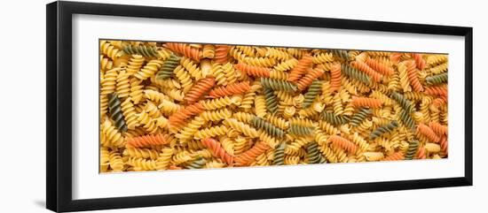 Tri Color Rotini-Steve Gadomski-Framed Photographic Print