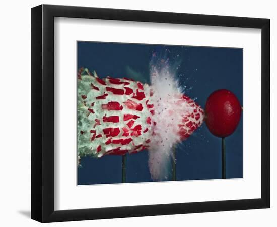 Tri Radish Destruction-Alan Sailer-Framed Photographic Print