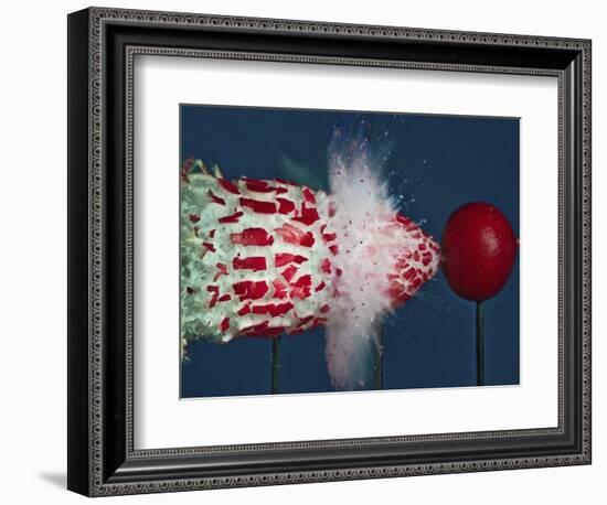 Tri Radish Destruction-Alan Sailer-Framed Photographic Print