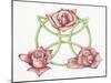 Tri-Rose-Deborah Kopka-Mounted Giclee Print