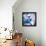 Trial and Airy Nebula-Mary Urban-Framed Stretched Canvas displayed on a wall