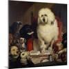 Trial by Jury, or Laying Down the Law, C.1840-Edwin Henry Landseer-Mounted Giclee Print
