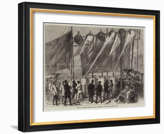 Trial of Steam Fire-Engines at the Crystal Palace-null-Framed Giclee Print