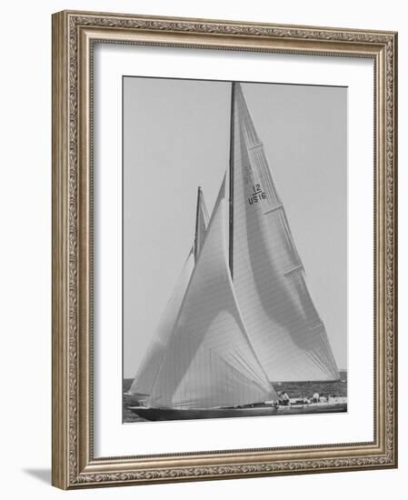 Trial Race For the America's Cup-George Silk-Framed Photographic Print