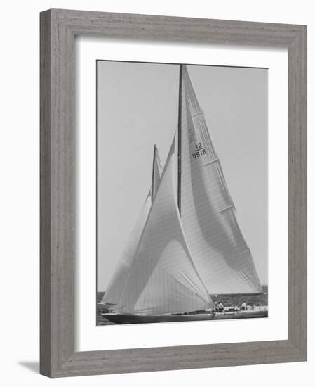 Trial Race For the America's Cup-George Silk-Framed Photographic Print