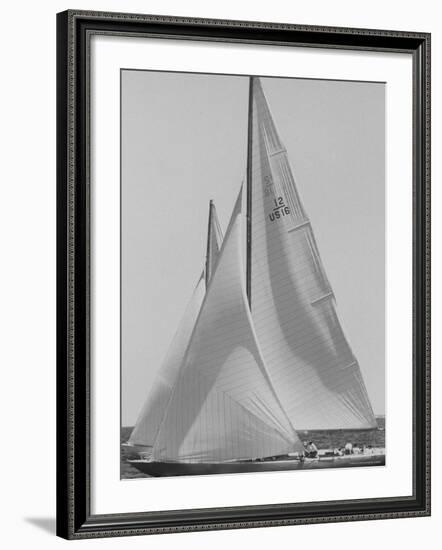 Trial Race For the America's Cup-George Silk-Framed Photographic Print