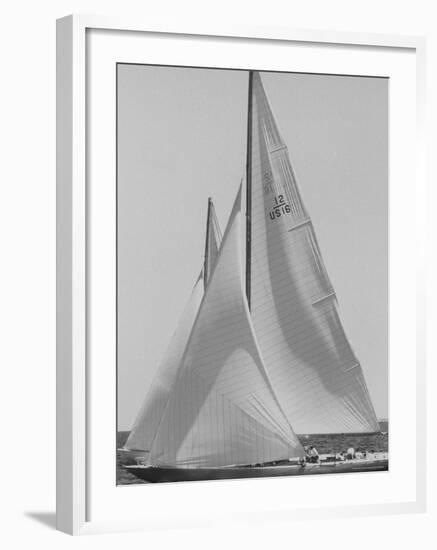 Trial Race For the America's Cup-George Silk-Framed Photographic Print