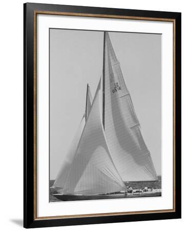 Trial Race For the America's Cup' Photographic Print - George Silk