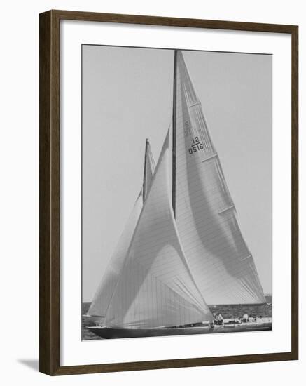 Trial Race For the America's Cup-George Silk-Framed Photographic Print