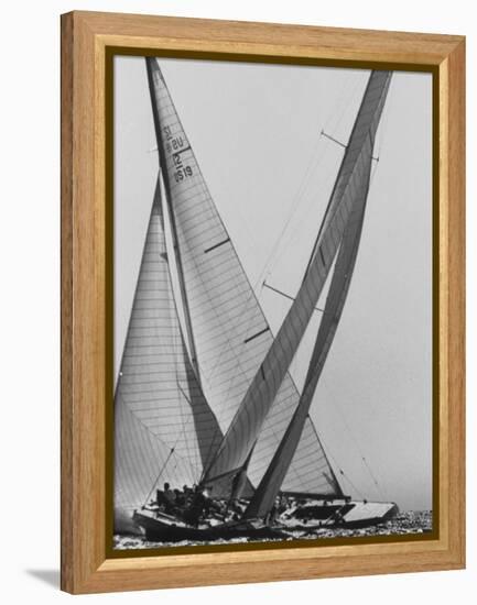 Trial Race For the America's Cup-George Silk-Framed Premier Image Canvas