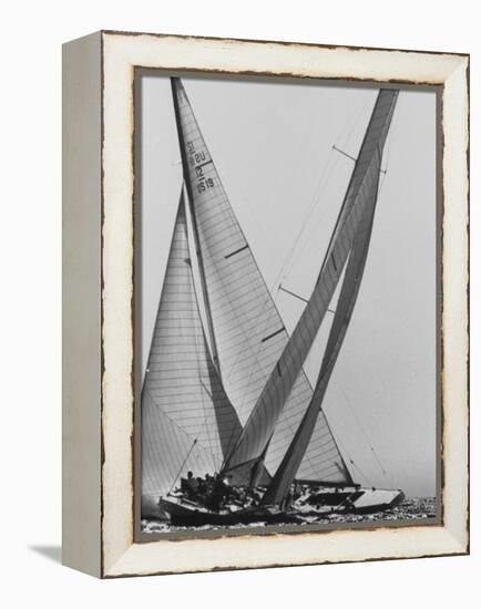 Trial Race For the America's Cup-George Silk-Framed Premier Image Canvas