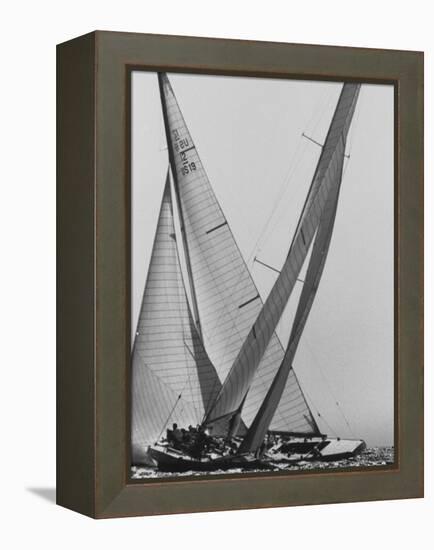 Trial Race For the America's Cup-George Silk-Framed Premier Image Canvas