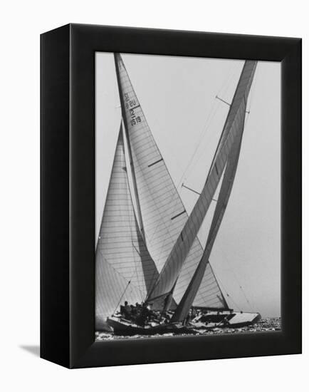 Trial Race For the America's Cup-George Silk-Framed Premier Image Canvas