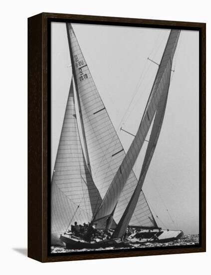 Trial Race For the America's Cup-George Silk-Framed Premier Image Canvas