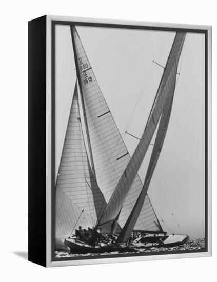 Trial Race For the America's Cup-George Silk-Framed Premier Image Canvas