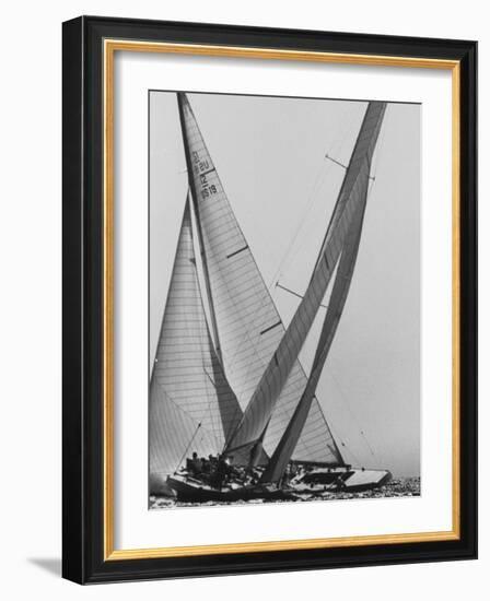 Trial Race For the America's Cup-George Silk-Framed Photographic Print