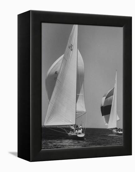 Trial Race For the America's Cup-George Silk-Framed Premier Image Canvas