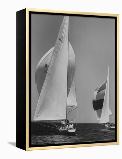 Trial Race For the America's Cup-George Silk-Framed Premier Image Canvas