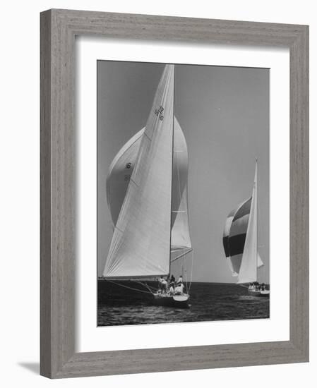 Trial Race For the America's Cup-George Silk-Framed Photographic Print