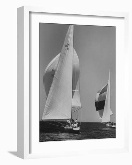 Trial Race For the America's Cup-George Silk-Framed Photographic Print