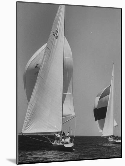 Trial Race For the America's Cup-George Silk-Mounted Photographic Print