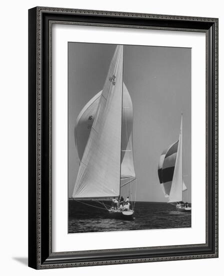 Trial Race For the America's Cup-George Silk-Framed Photographic Print