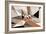 Triangle 2-LXXII-Fernando Palma-Framed Giclee Print