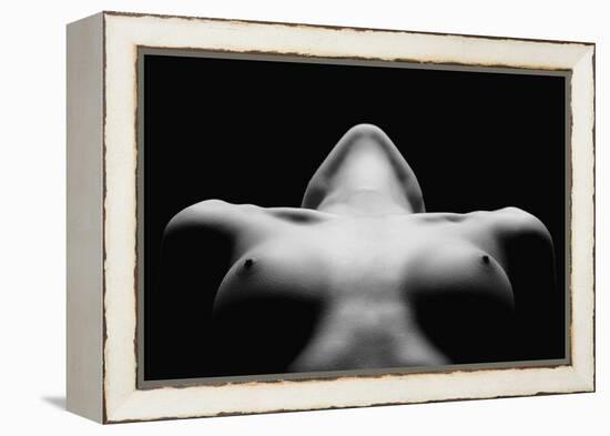 Triangle-Wunderskatz-Framed Premier Image Canvas