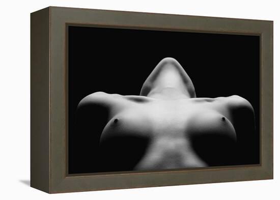 Triangle-Wunderskatz-Framed Premier Image Canvas