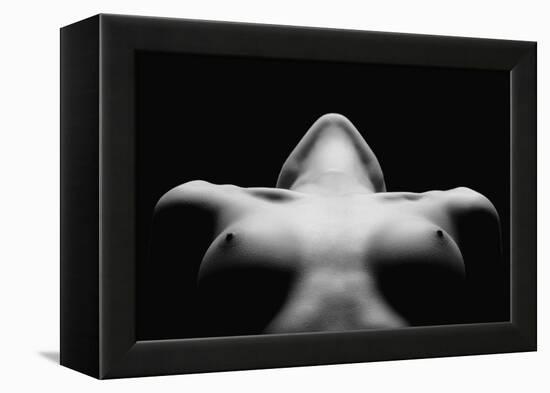 Triangle-Wunderskatz-Framed Premier Image Canvas