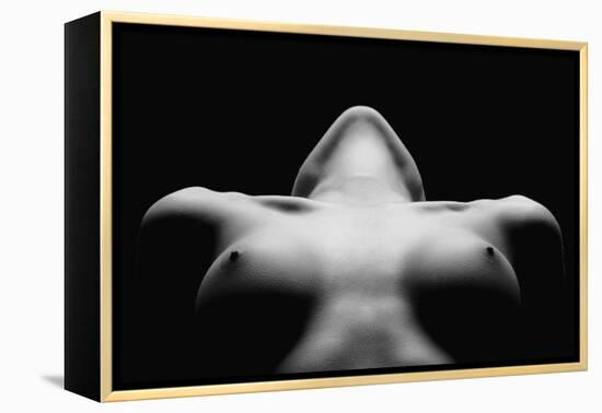 Triangle-Wunderskatz-Framed Premier Image Canvas