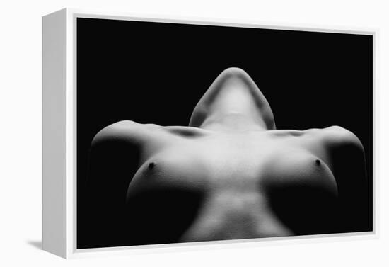 Triangle-Wunderskatz-Framed Premier Image Canvas