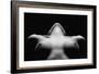 Triangle-Wunderskatz-Framed Photographic Print
