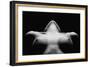 Triangle-Wunderskatz-Framed Photographic Print