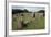 Triangular Grave, Viking Burial Site, Lindholm Hoje, Aalborg, Jutland, Denmark-null-Framed Giclee Print