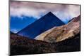 Photographic Print
