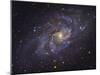 Triangulum Galaxy-Stocktrek Images-Mounted Photographic Print